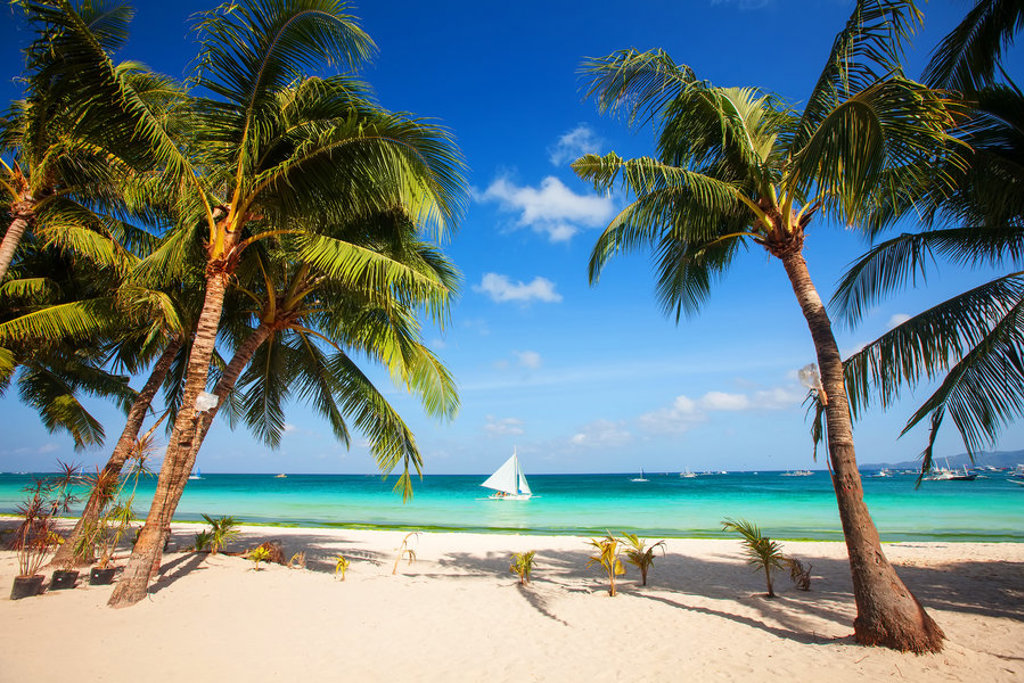 Palmbomen op wit zandstrand aan turquoise zee tijdens groepsrondreis Sri Lanka en Malediven.