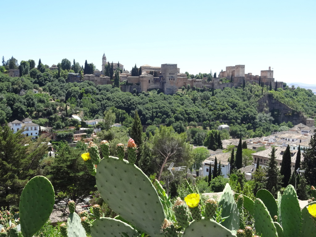 Uitzicht op het Alhambra in Granada, Andalusië, met cactusplanten op de voorgrond.
