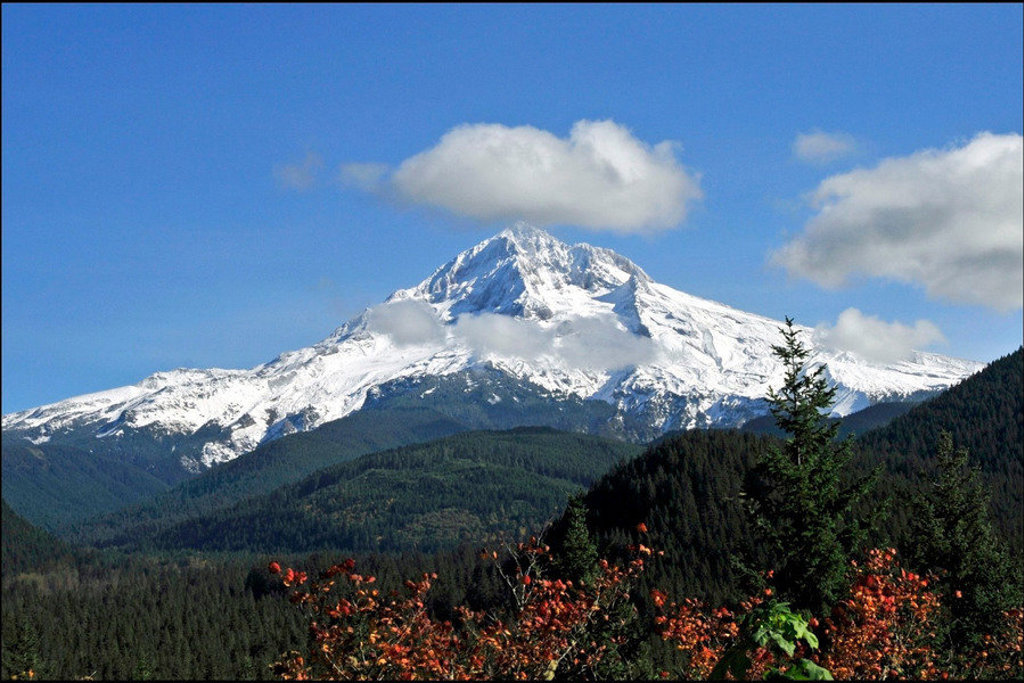 Besneeuwde bergtop in het noordwesten van de Verenigde Staten, met groene bossen en blauwe lucht.