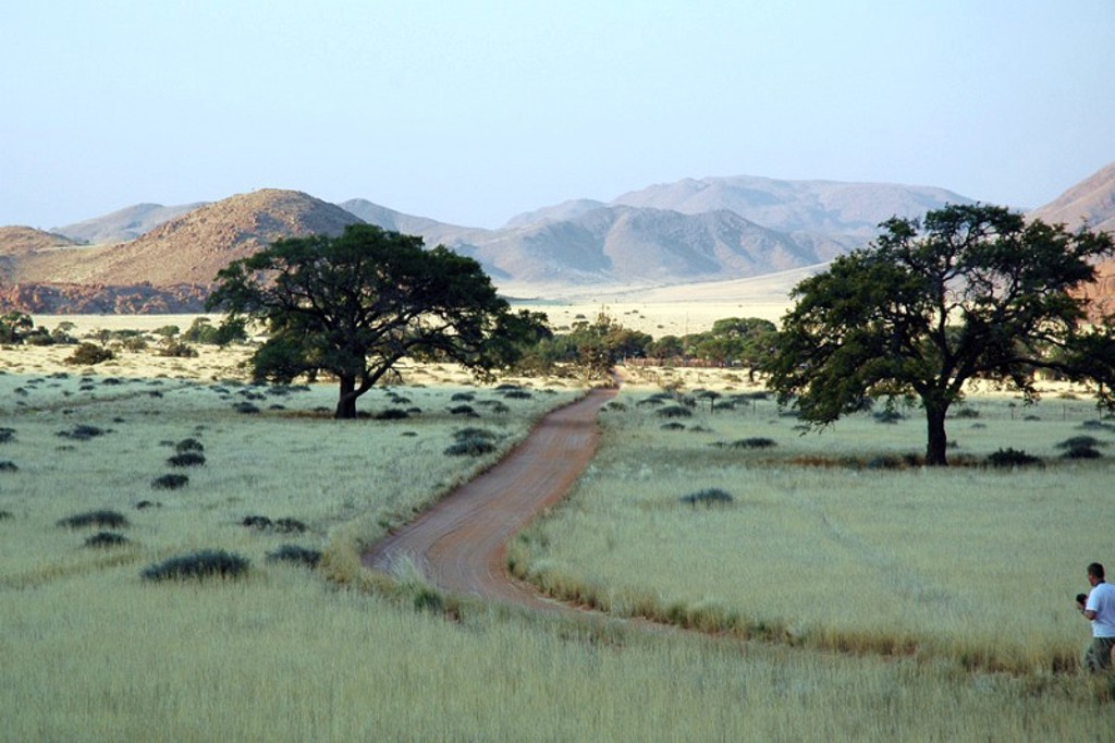 Zandweg door savanne met acaciabomen en bergen in Namibië, Botswana en Zimbabwe.