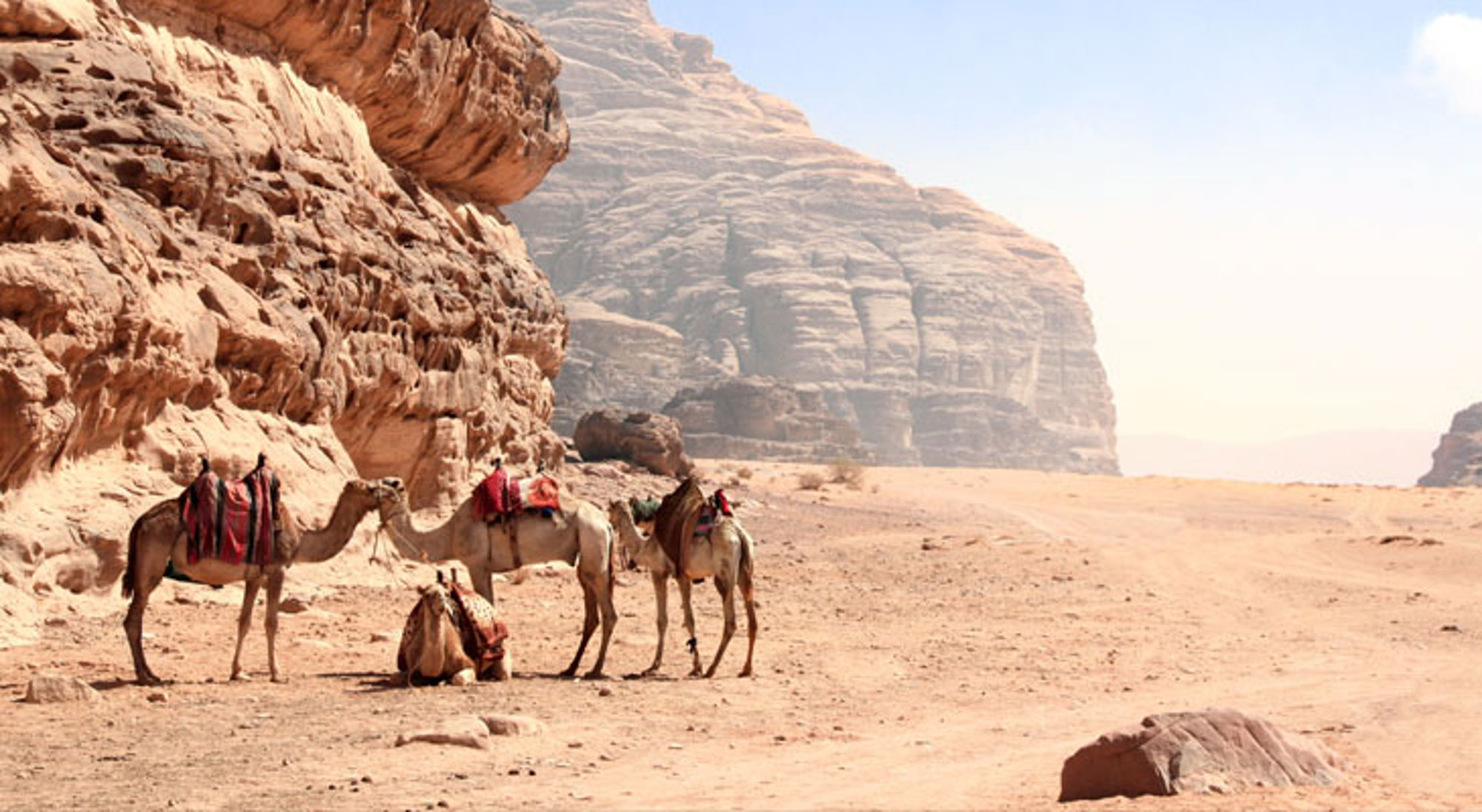 Kamelentocht Wadi Rum Jordanië Kamelen in de Wadi Rum-woestijn bij rotsformaties in Jordanië.