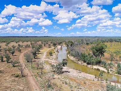Rivierlandschap in de Australische outback met onverharde weg, bomen en wolkenlucht.