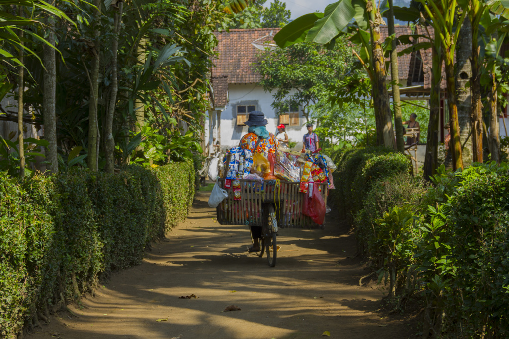 Straatverkoper op fiets met kleurrijke waren op een dorpsweg op Java, tijdens familiereis Java & Bali.