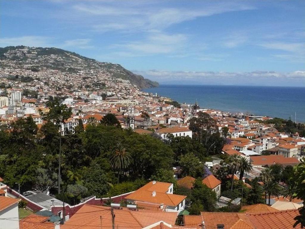 Wandelpad door groene laurierbossen en bergen op Madeira, Portugal.