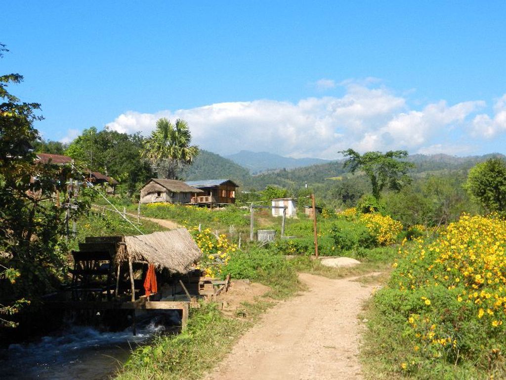 Landelijk landschap in Myanmar met zandpad langs bloemenvelden en traditionele huizen, met bergen op de achtergrond.