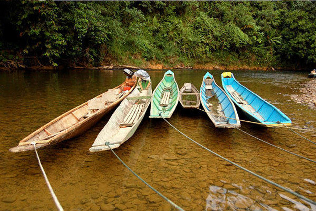 Traditionele kano’s aan de rivier in het regenwoud van Kalimantan, Indonesië.