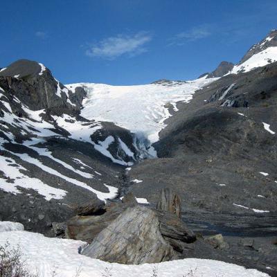 Alaska: berglandschap met besneeuwde toppen en naaldbomen tijdens groepsrondreis kampeer/hotel reis.