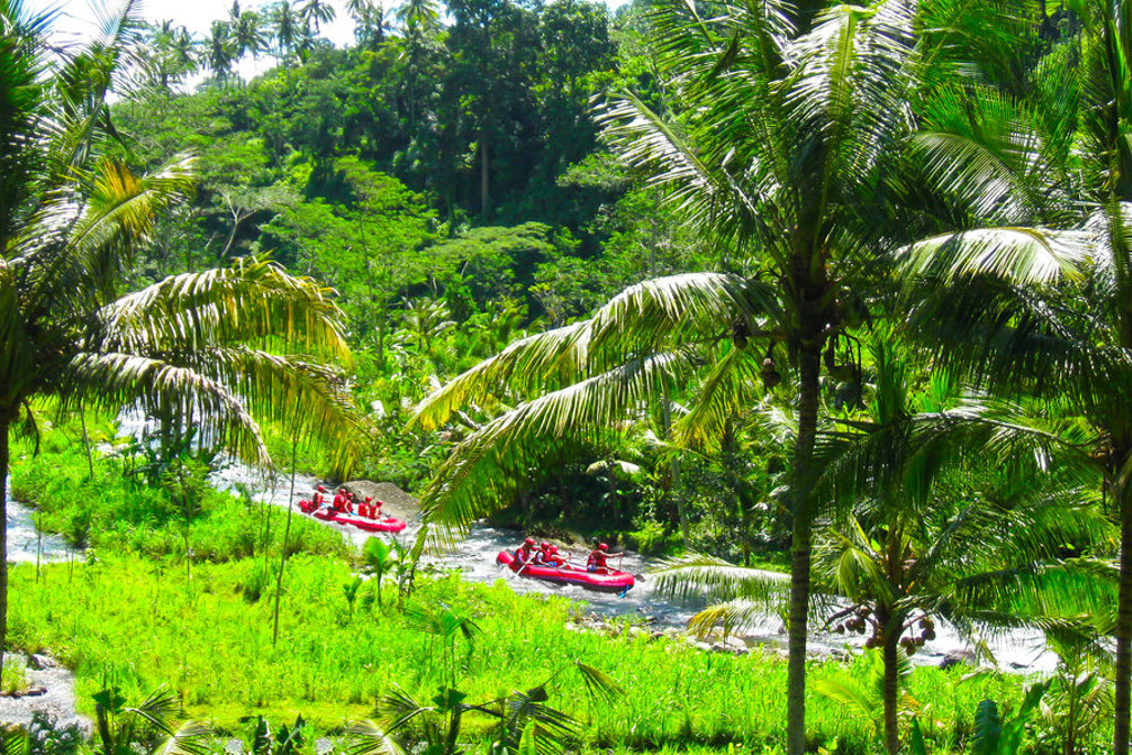 Raften op een rivier tussen palmbomen en jungle op Java, Indonesië.