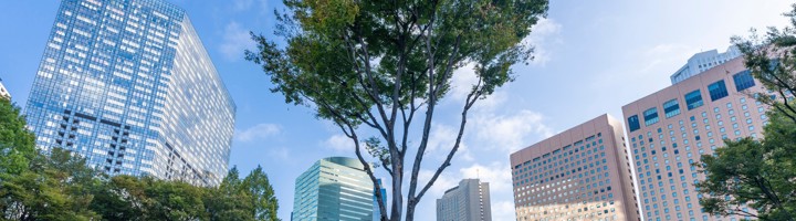 Shinjuku Gyoen-park in Tokyo met groene grasvelden, hoge boom en moderne wolkenkrabbers op de achtergrond.