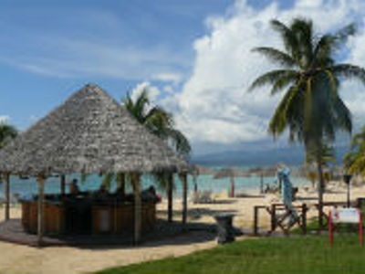 Strand in Cuba met palmbomen en rieten strandbar aan zee.