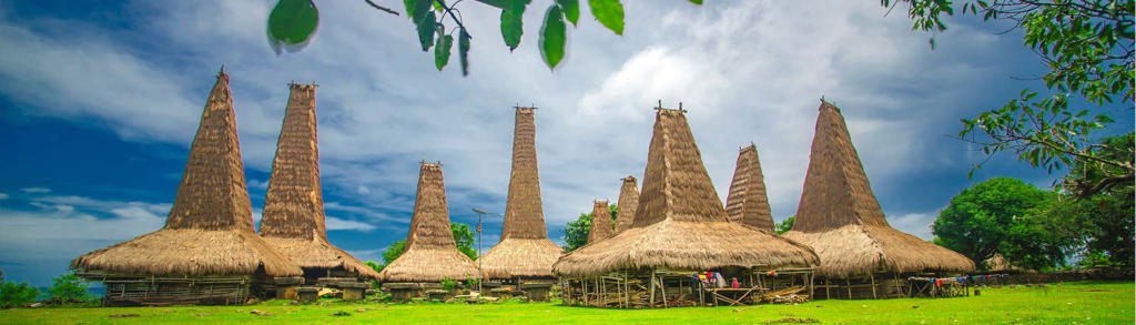 Traditionele huizen met hoge rieten daken op Sumba, Indonesië, tijdens rondreis Timor, Sumba & Bali.