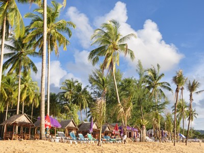 Palmen en strandhuisjes aan een zandstrand in Zuid-Thailand, onderdeel van de Route Zuid-Thailand.