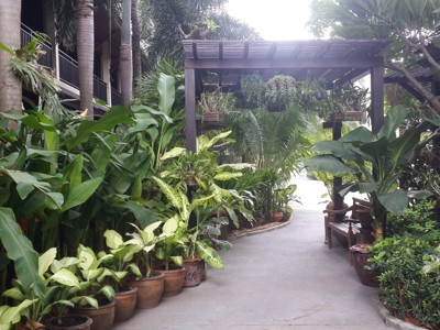 Am Samui Palace