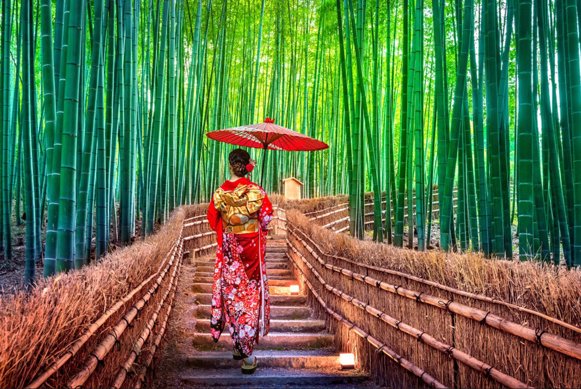 Vrouw in kimono met rode parasol op pad door het bamboebos van Arashiyama in Kyoto, Japan.