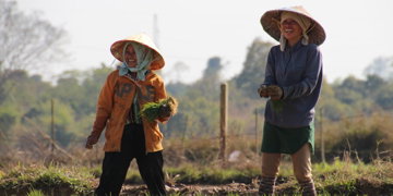 Groepsrondreis Indochina