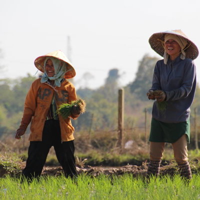 Groepsrondreis Indochina