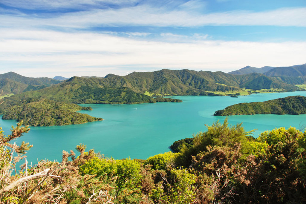 Uitzicht over Queen Charlotte Sound bij Marlborough Sounds, Nieuw-Zeeland, met groene heuvels en turquoise water.