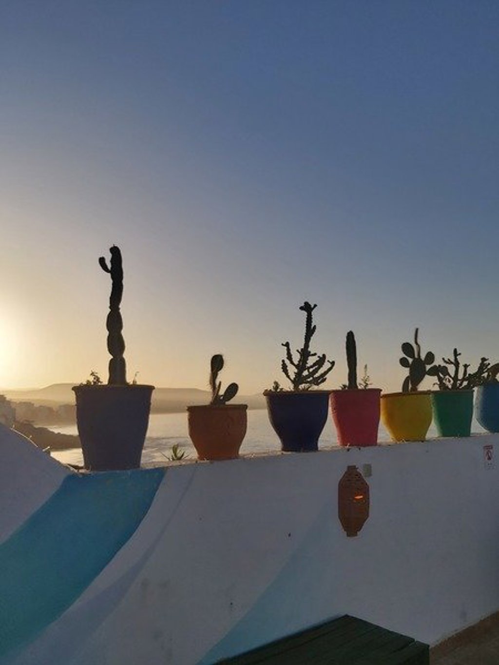 Silhouetten van cactussen in de Marokkaanse woestijn tijdens de groepsrondreis Marokko Chill & Adventure.