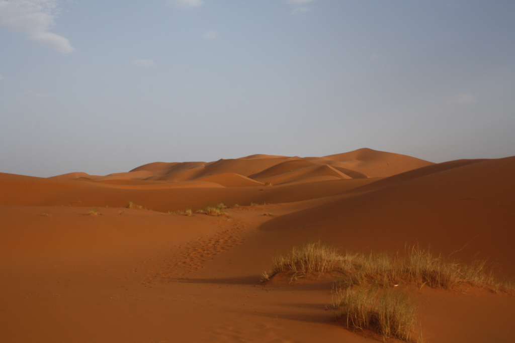 Zandduinen in de Sahara in Marokko tijdens de groepsrondreis Marokko Chill & Adventure.