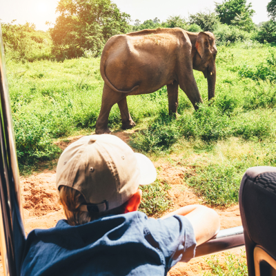 Kind kijkt vanuit safari-jeep naar een olifant in het groen in Sri Lanka.