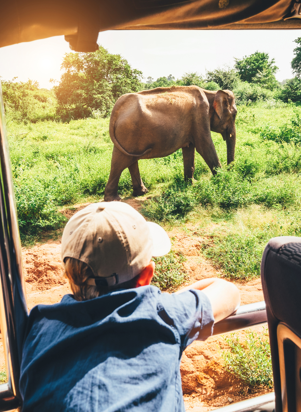 Kind kijkt vanuit safari-jeep naar een olifant in het groen in Sri Lanka.
