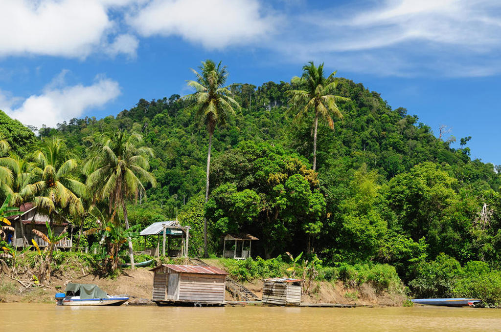 Tropische rivier met palmbomen en jungleheuvels tijdens de groepsrondreis Kalimantan, Sulawesi & Molukken.