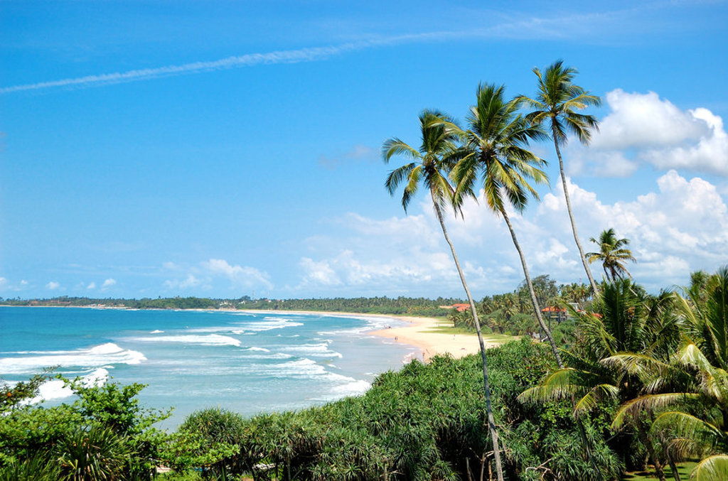 Palmbomen aan een zandstrand met blauwe zee tijdens groepsrondreis Sri Lanka en Malediven.