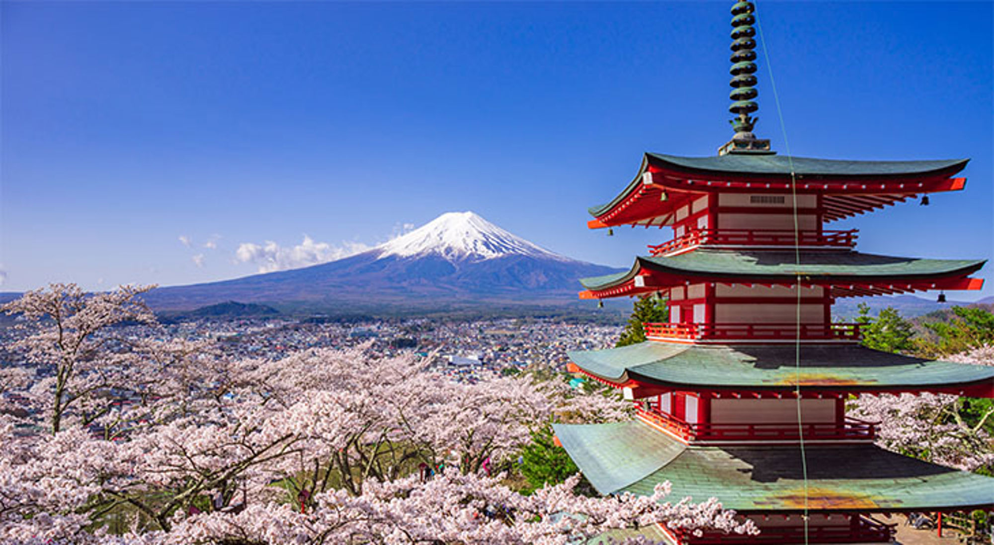 Mount Fuji Chureito-pagode met kersenbloesem en de besneeuwde Mount Fuji op de achtergrond.