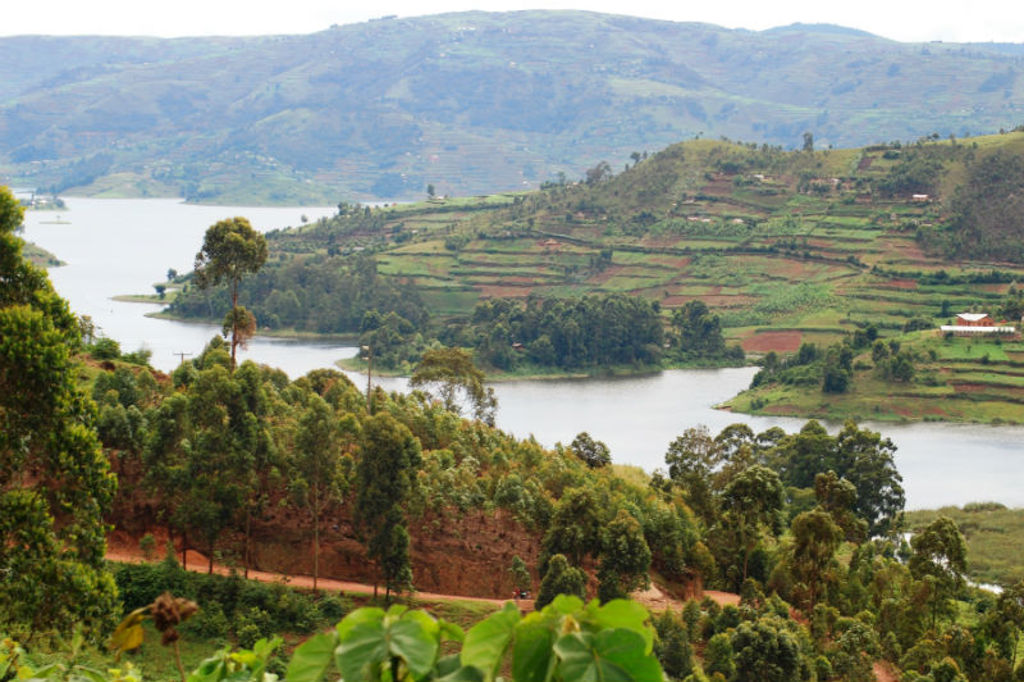 Groene heuvels en terrassen langs een meer in Rwanda tijdens de groepsrondreis Uganda en Rwanda.