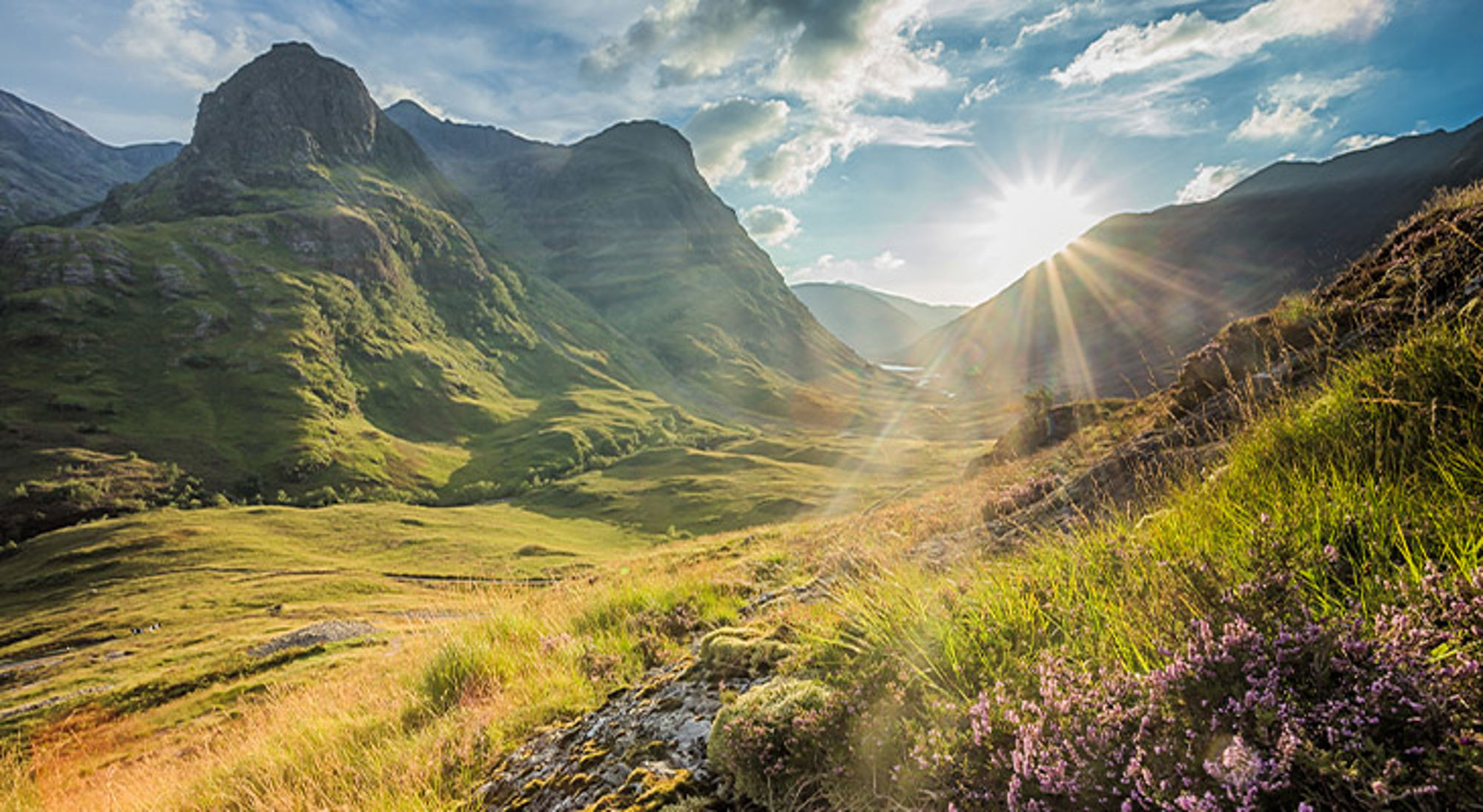 Glen Coe vallei Zonlicht over een groene bergvallei met ruige pieken en bloeiende heide.