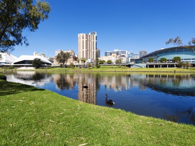 Skyline van Adelaide met moderne gebouwen aan de rivier en een zwarte zwaan in het water.