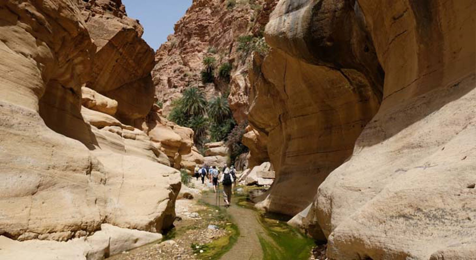 Dana Natuurreservaat Jordanië Luchtballonvaart boven woestijnlandschap in Jordanië.
