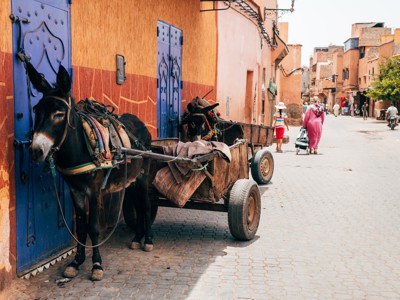 Ezels met karren in een straat in Marrakech, Marokko, tijdens de route Andalusië & Marokko.