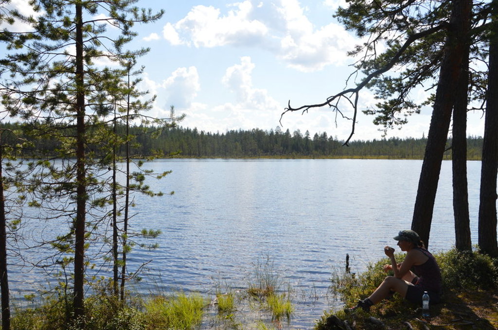 Wandelaar pauzeert aan een rustig meer in Fins Lapland tijdens een zomerse groepsrondreis.