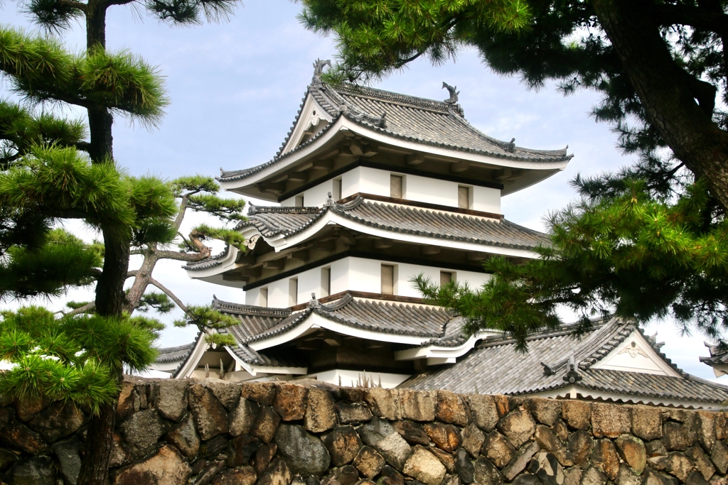 Japans kasteel met traditionele daken tussen pijnbomen, familiereis Japan.