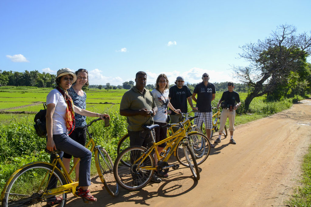 Groep reizigers met fietsen langs rijstvelden tijdens familiereis Sri Lanka en Malediven.