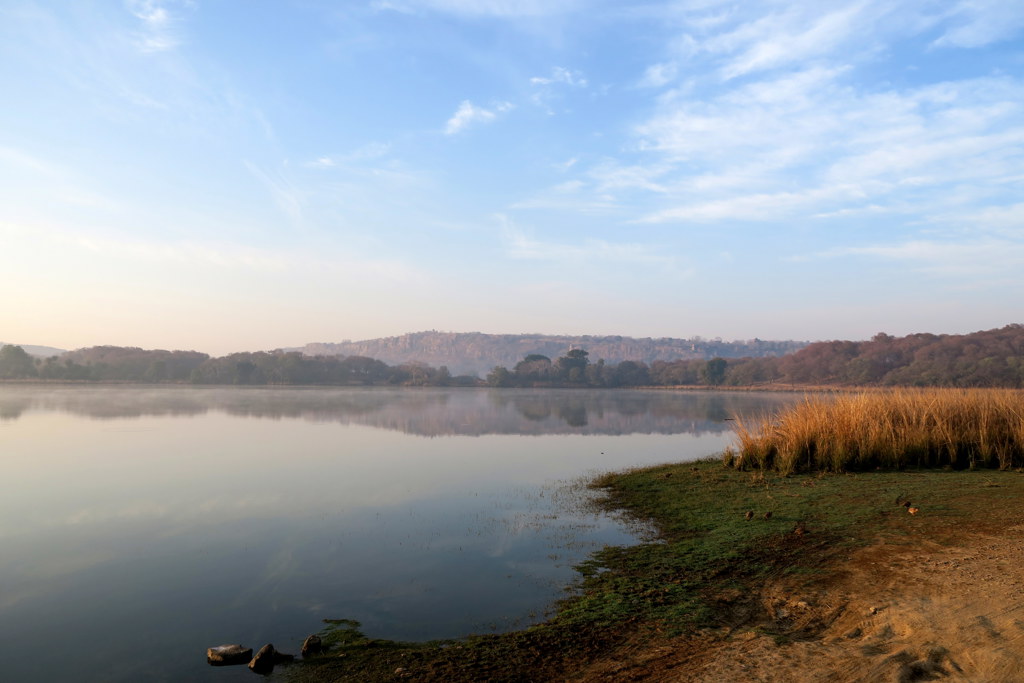 Rustig meer met rietkraag en heuvels in de ochtendmist tijdens een groepsrondreis Noord-India en Nepal.