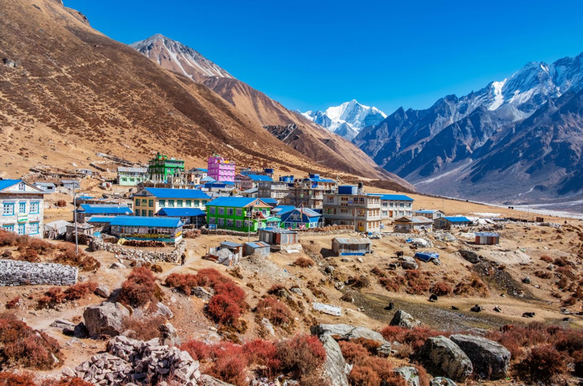 Kleurrijk bergdorp in Nepal met blauwe daken, omringd door ruige bergen en besneeuwde Himalaya-toppen.