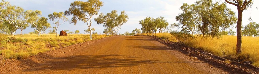 Rode onverharde weg door de Australische outback met eucalyptusbomen en goudgeel gras.