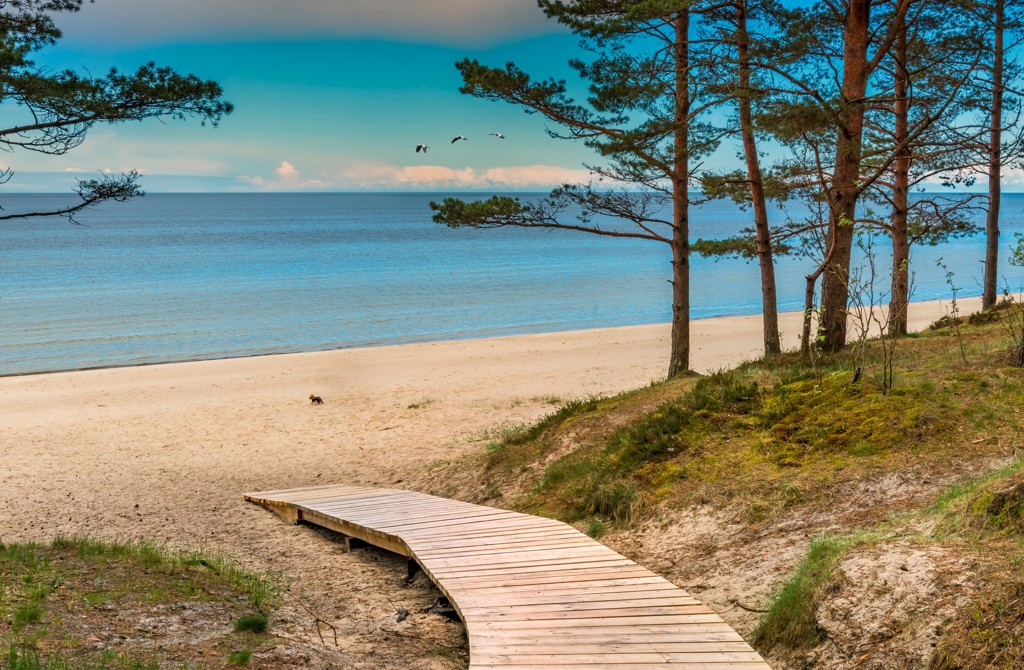 Houten vlonderpad door de duinen naar een rustig zandstrand aan de Oostzee tijdens familiereis Polen en Baltische Staten.