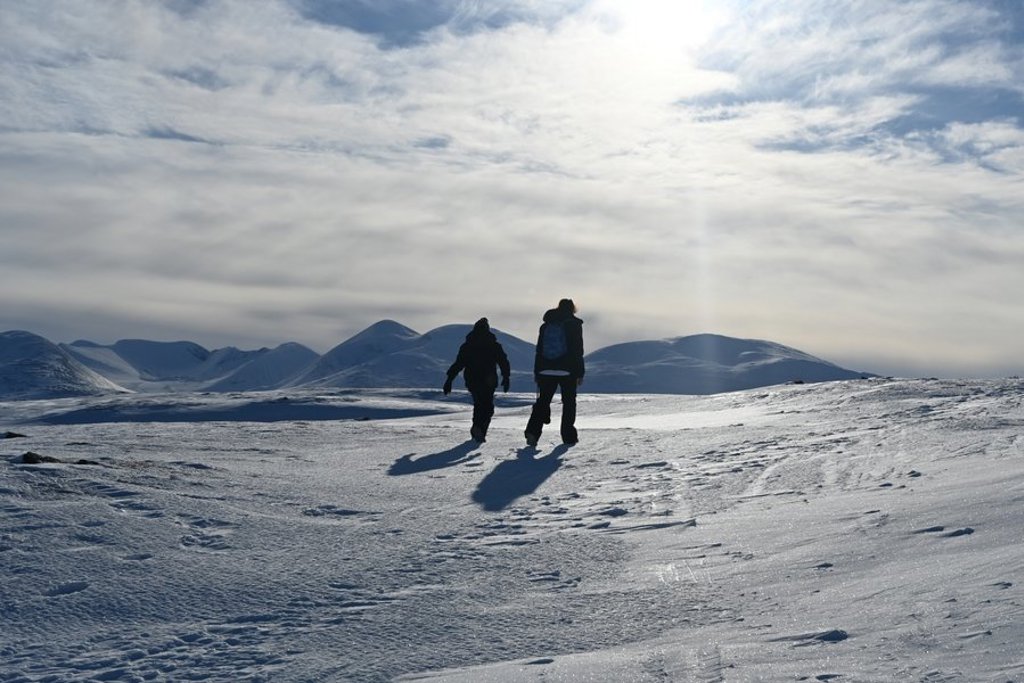 Noorderlicht boven besneeuwd landschap in Zweeds en Noors Lapland tijdens groepsrondreis.