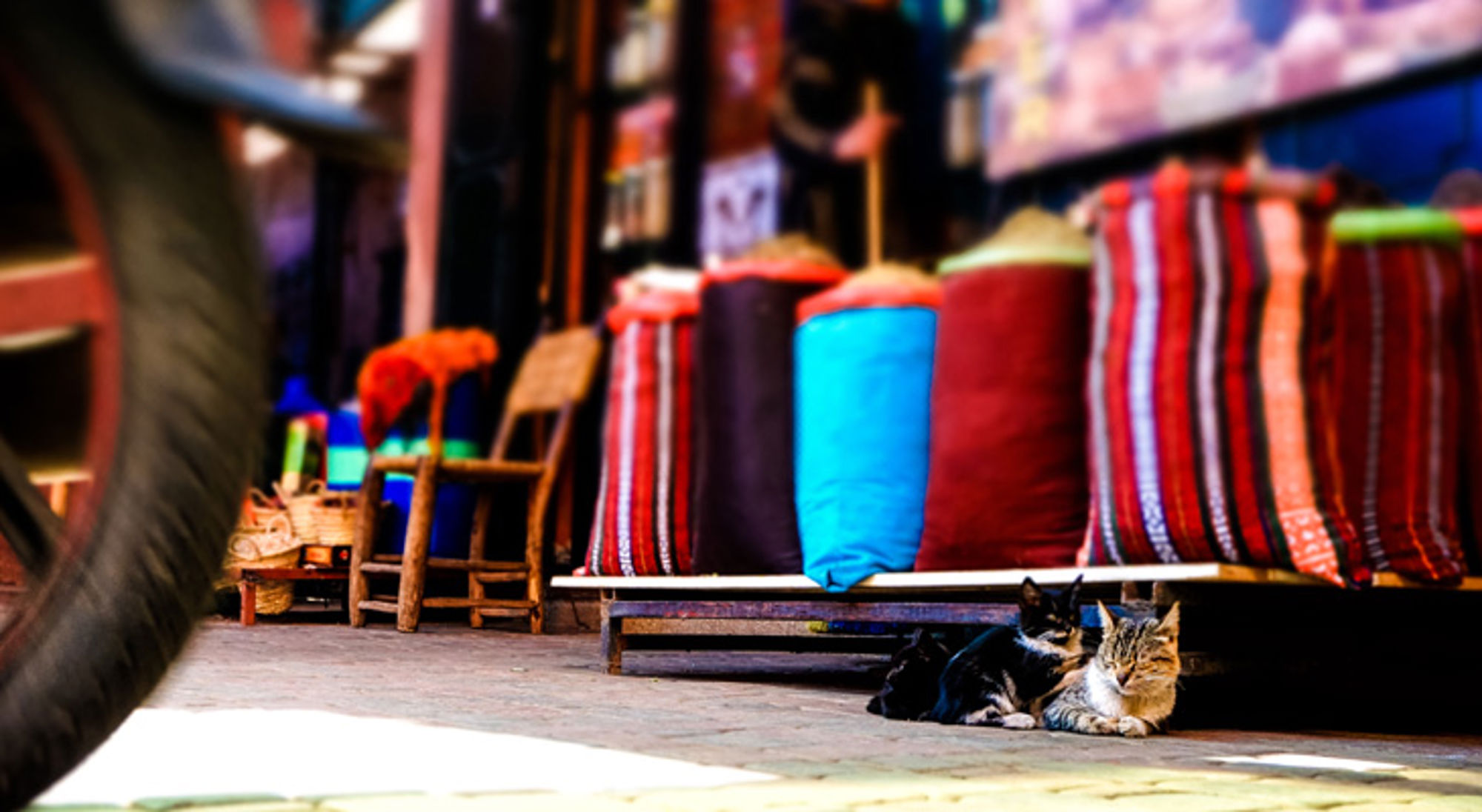 Katten liggen te rusten voor een winkel met kleurrijke kussens en textiel op straat.