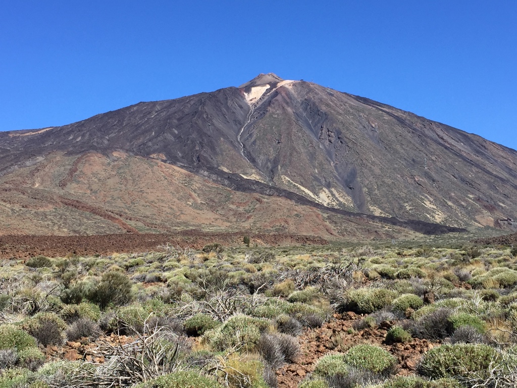 Vulkaan El Teide op Tenerife met lavalandschap en struiken onder een heldere blauwe lucht.