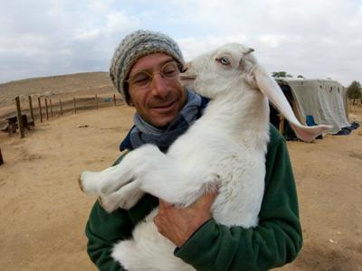 Man houdt een witte geit vast in een woestijnkamp tijdens de route Jordanië en Israël, 13 dagen.