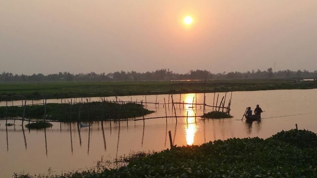 Groene rijstvelden in Vietnam tijdens een korte groepsrondreis.
