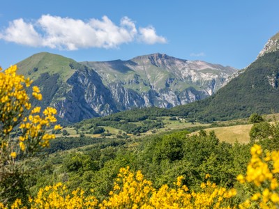Berglandschap in de Centrale Apennijnen met groene hellingen, rotswanden en gele bloemen op de voorgrond.