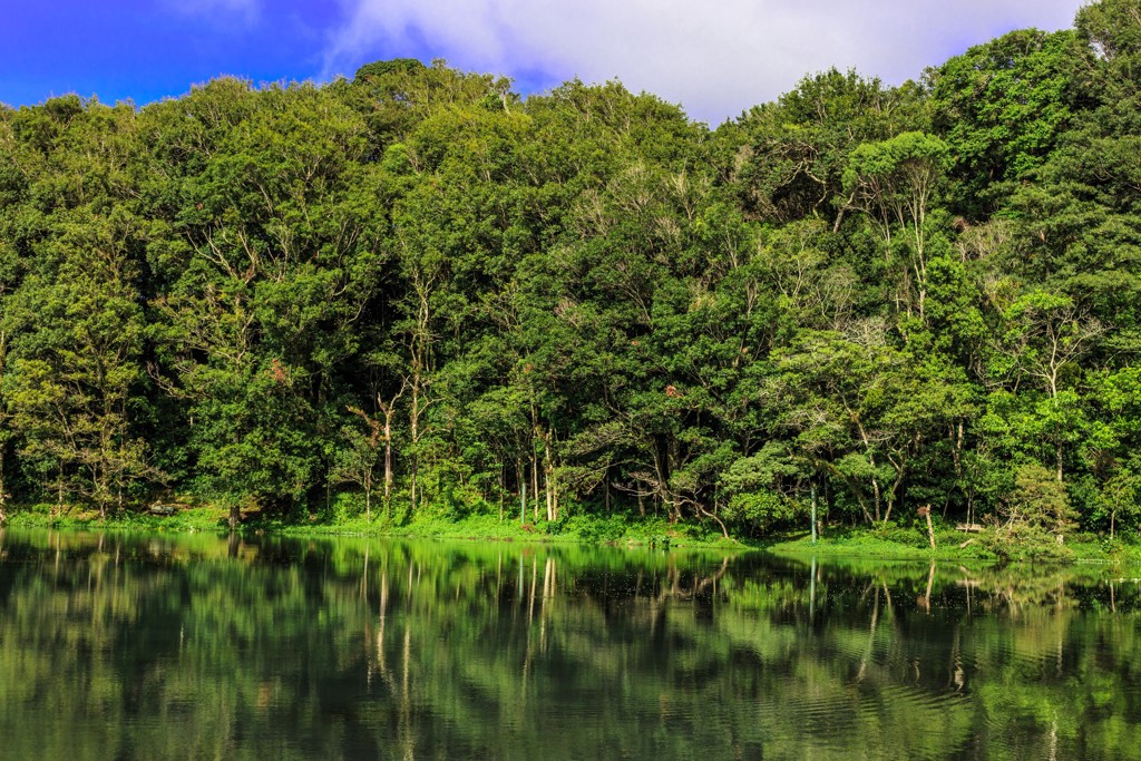 Groen regenwoud langs een rustig meer in Nicaragua, met spiegeling in het water.