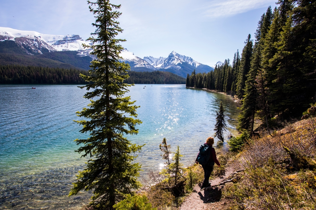 Wandelen langs een bergmeer in de Canadese Rockies, met dennenbossen en besneeuwde bergtoppen.