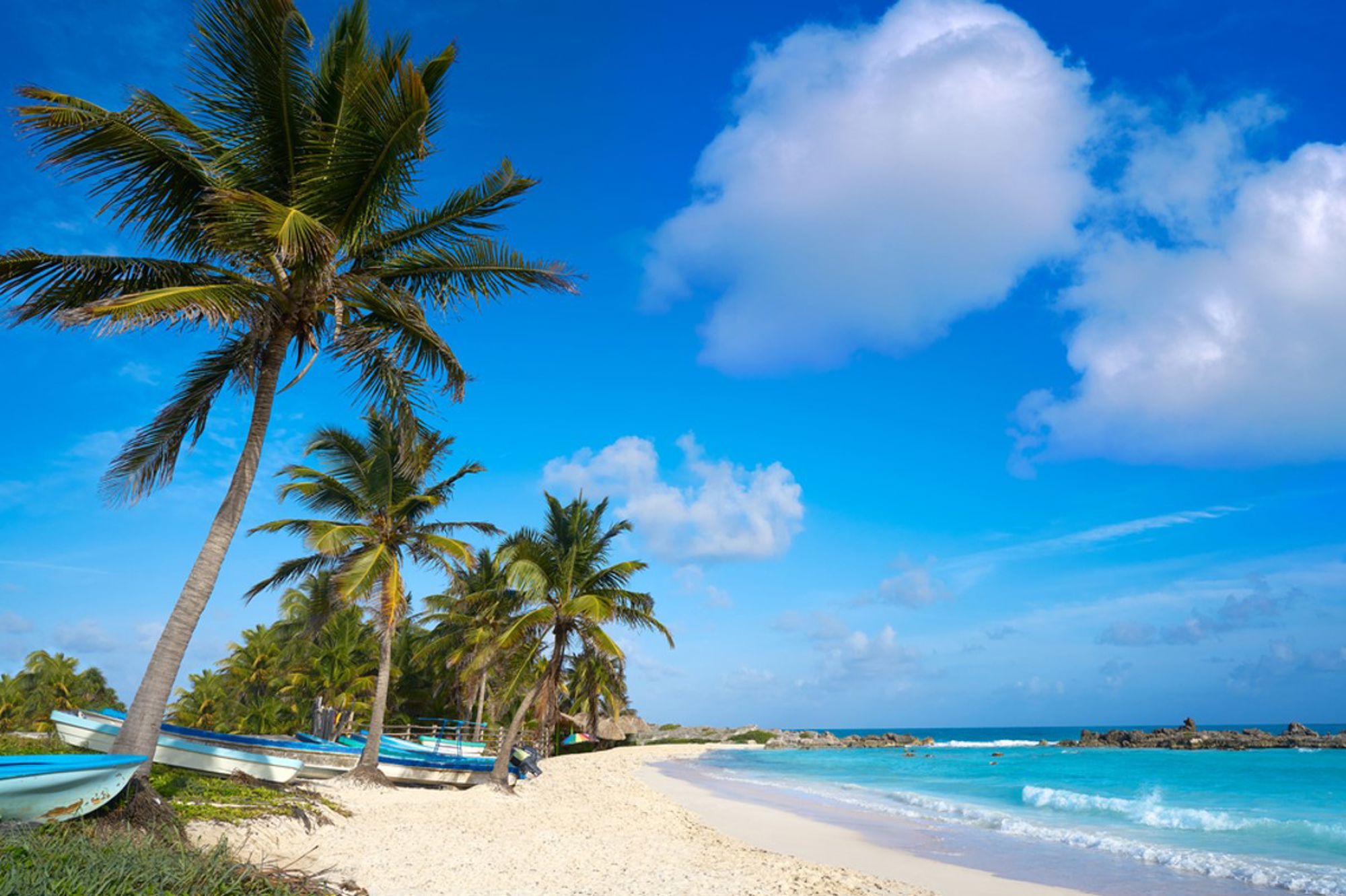 Palmbomen en vissersboten op een wit zandstrand aan de turquoise kust van Mexico.