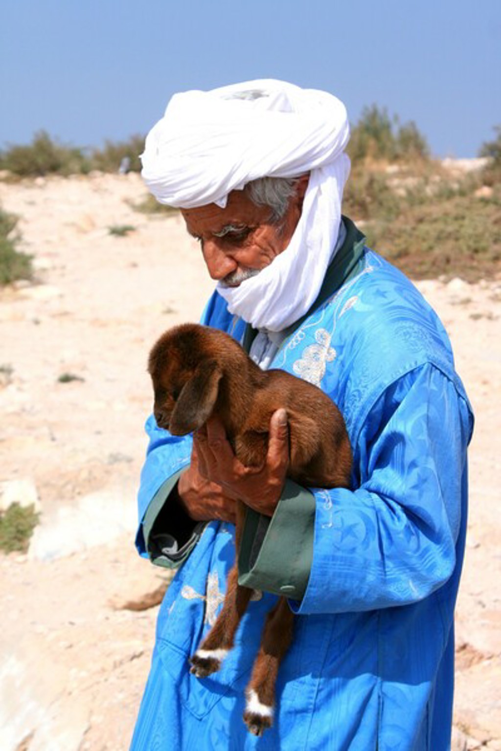 Man in traditionele kleding met witte tulband houdt een jong geitje vast in de woestijn van Marokko.